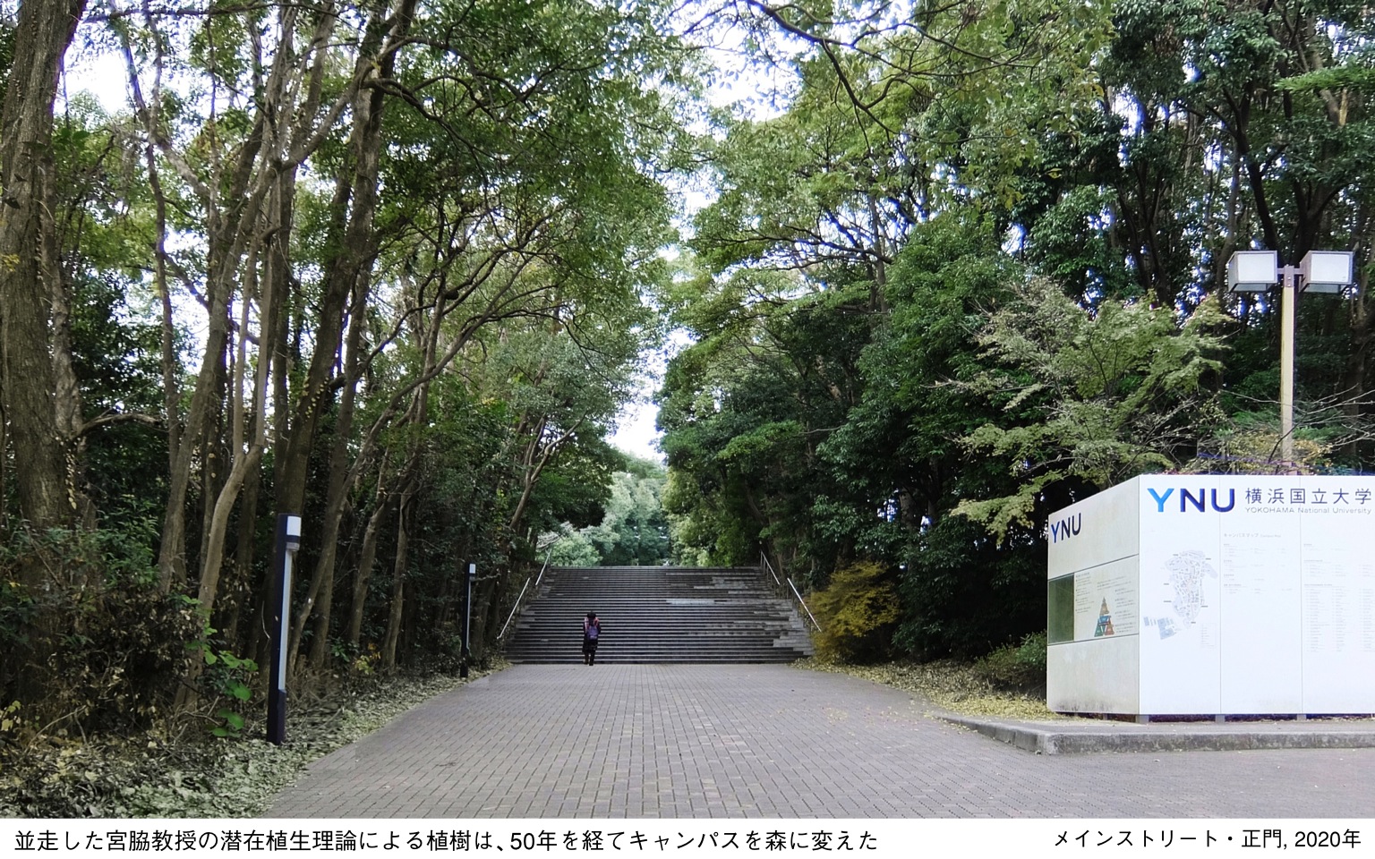 横浜国立大学西門プロジェクト, Restructuring the gates at Yokohama National University
